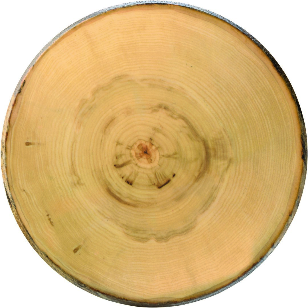 Elm Footed Round Platter 13.5